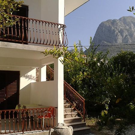 Apartments Tamaris Zaostrog Dış mekan fotoğraf