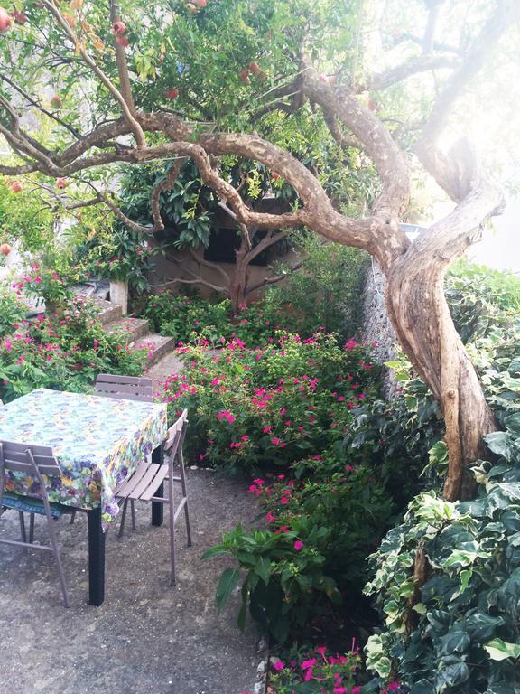 Apartments Tamaris Zaostrog Dış mekan fotoğraf
