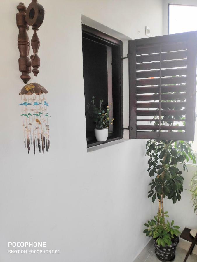 Apartments Tamaris Zaostrog Dış mekan fotoğraf
